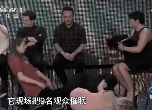 董卿被逆天狐狸狗催眠 这狗成精了
