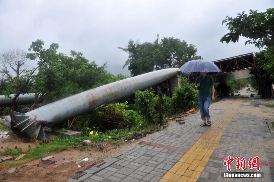 台风"杜鹃"掀滔天巨浪(组图)