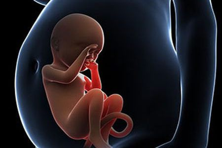 是什么原因导致胎停育?