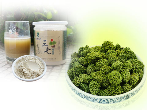 三七粉or三七花对症选择是关键