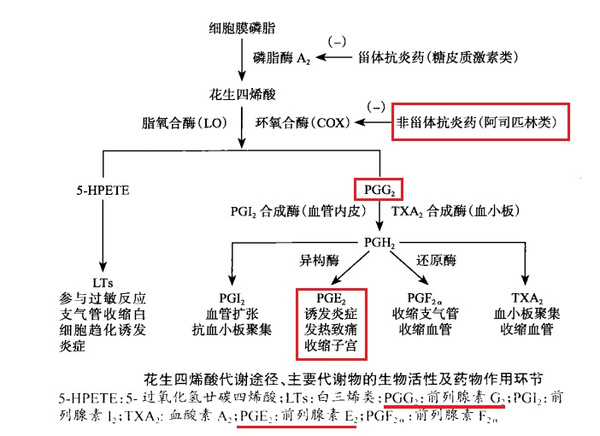 退热药能合用吗?