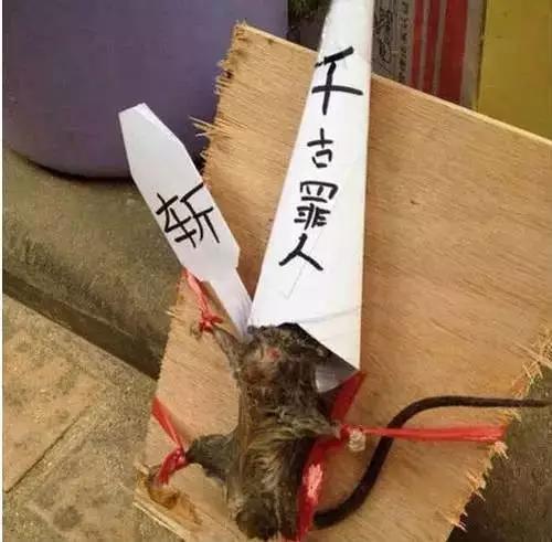 搞笑图片:丘比特原来是个二把手,跑偏啊
