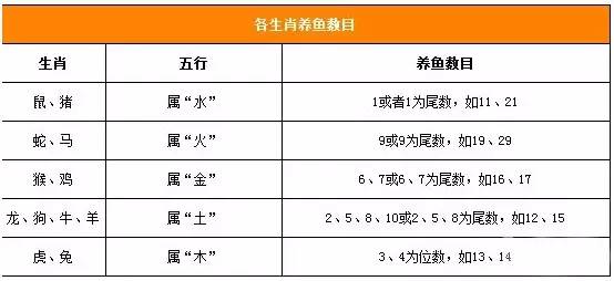 经常帮不同的人口_找不同图片(2)