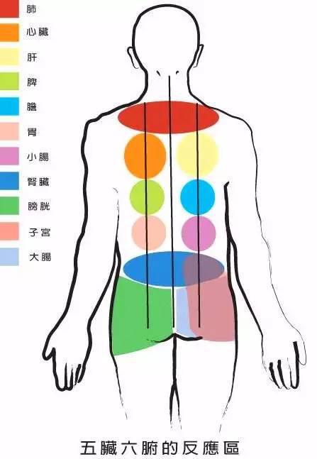 胃神经官能症的症状表现哪些比较典型?