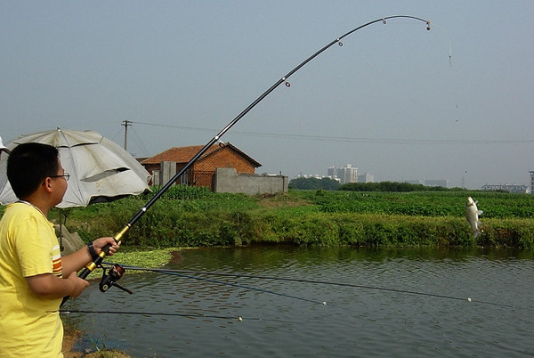 秋季钓鱼硕果累累的技巧就是使用小海竿