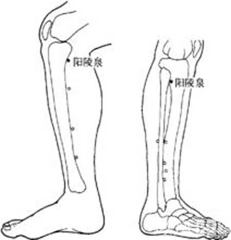 打通你的全身经络-腿部篇