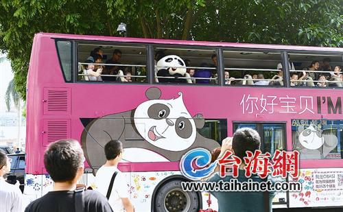 “熊猫巴士”一路引得沿路市民驻足拍照