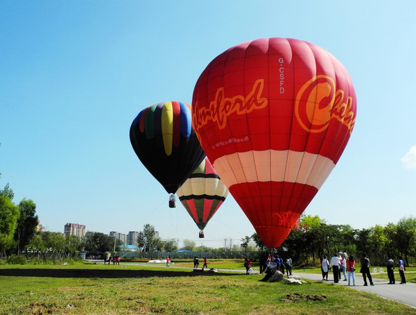 金山追影+发芽跑-10月3日金山追影打卡8公里