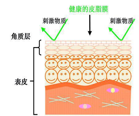 敏感肌肤的日常护理篇