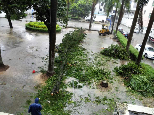 台风"彩虹"来袭 茂名市电白区遭受严重影响