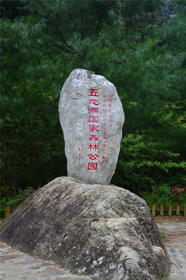 富山丽水花开略阳#之五龙洞国家森林公园