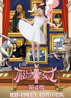 Chinese TV - 极品女士第4季