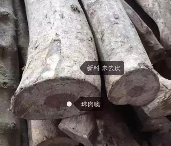 神似海南黄花梨的精品紫檀柳