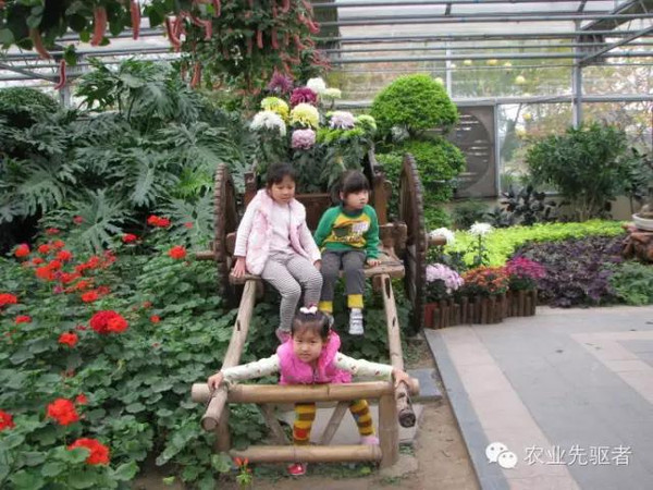 智能温室--花卉馆
