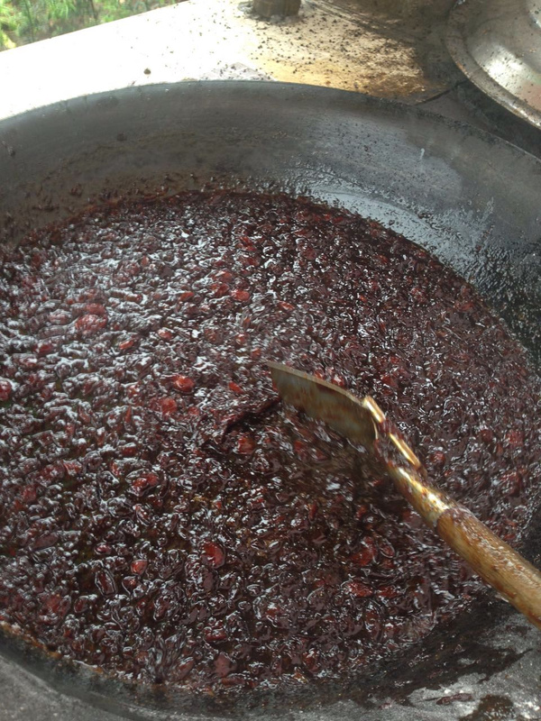 枇杷膏止咳祛痰有奇效 枇杷膏能止久咳,除顽痰,消烦渴,生津液,舒胸化逆,制虚火,养真阴,通肺窍,定气喘,黄脓痰白塞痰一服消解,胃胀肚谷一瓶见效。声嘶力竭,喉痛出血至为特效,形容憔悴,面色苍白,皮肤干燥一服此药,面色转红,精神焕发。也就是说,枇杷膏有止咳化痰,止逆气定喘,养颜润肤之功效。 食用枇杷膏能治疗燥热咳嗽、伤风咳嗽、感冒咳嗽、老人多咳、喉痛声哑、胸郁闷、肺弱常咳、津液干枯、喉舌焦燥、痰结色黑、虚火上升、喉炎喉痛、气弱痰多、虚损干咳、口臭胃滞、咽喉作痒等各种病症。 【宝宝止咳慎用川贝】川贝性苦、甘、