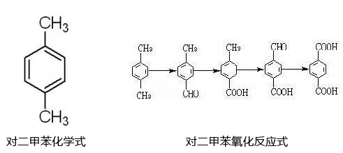 对二甲苯呈无色透明液体,具有芳香气味.