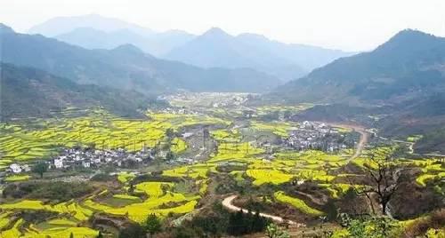 河南周姓人口_周姓图片带字微信头像