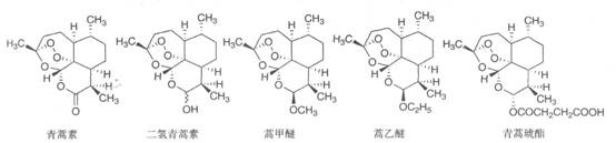 在间日疟氯喹抗性地区,青蒿素artemisinin联合用药(artemisinin