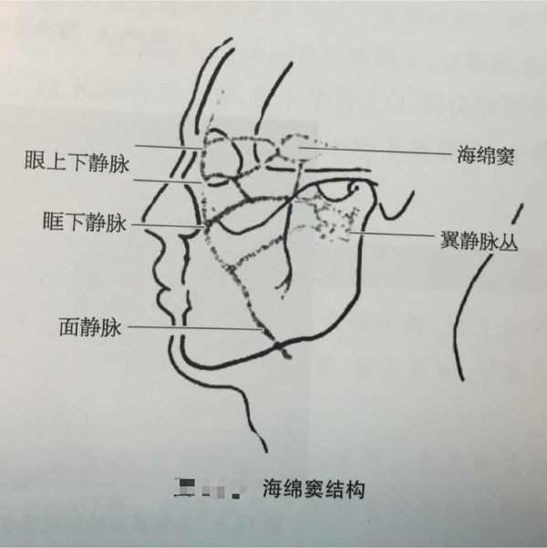 病例分享|中年男性,复视、眼球突出、结膜充血