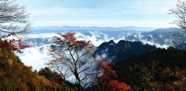 每到金秋之时,牛背梁满山山红遍,层林尽染,简直醉了.