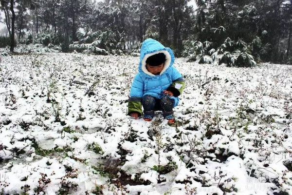 威宁雪山镇人口_威宁雪山镇图片(2)