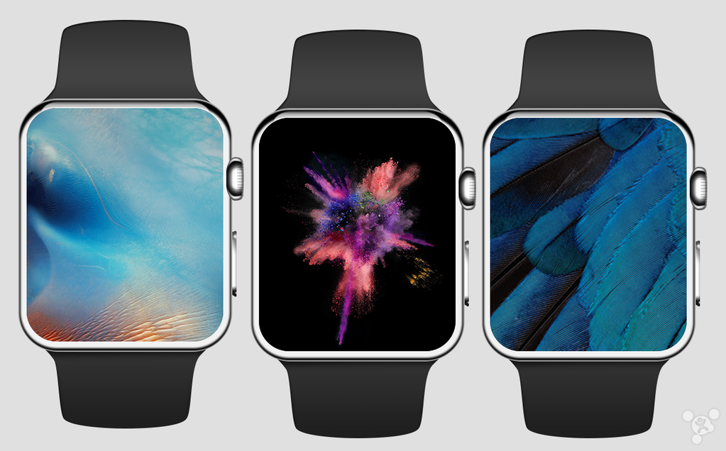 本周最佳壁纸:apple watch版的ios9壁纸(图)