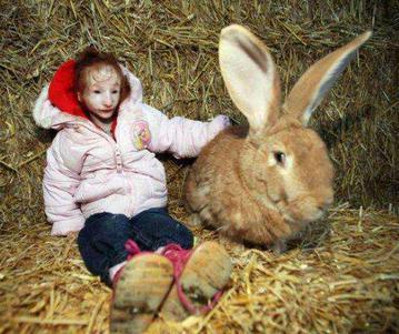 跟兔子一样大的她是世界上最迷你女孩