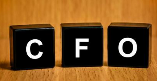 CFO、财务总监、总会计师的差异在哪