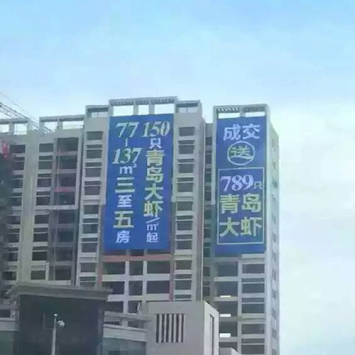 {38元大虾段子}.