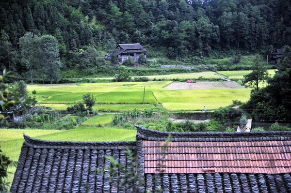 桂,黔三省区交界处的湖南怀化市通道侗族自治县临口镇太平岩村,位于