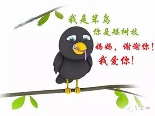 上帝为每一只笨鸟都准备一个矮树枝!