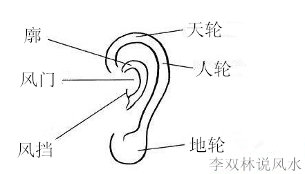 耳朵大的人就一定有福气吗