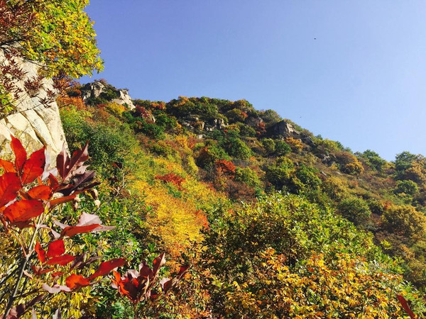 航拍京郊壮丽秋景 万山红遍层林尽染