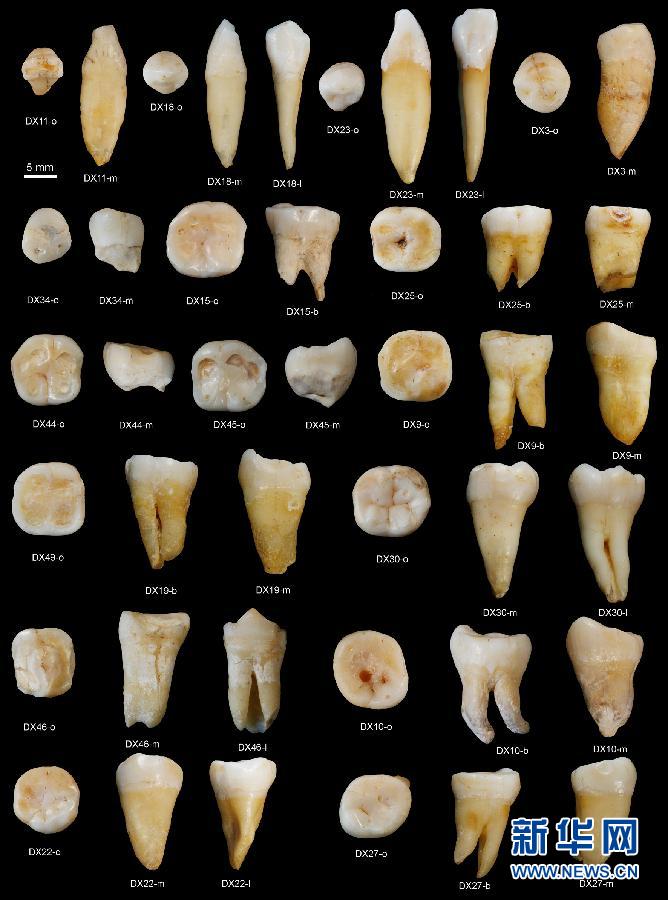 这是发现47枚人类牙齿化石的湖南道县福岩洞外景和牙齿化石合成图片.