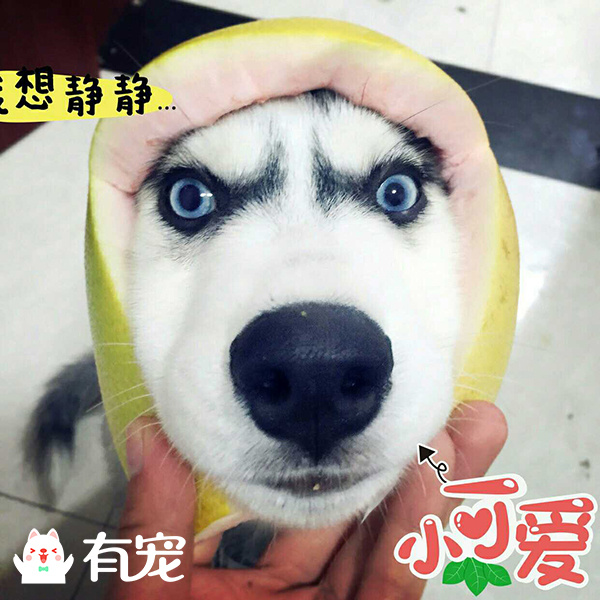 我只是给你一个炯炯有神的眼神