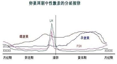 闭经,生殖道异常出血,妇科相关肿瘤等等,需要常规检查性激素六项