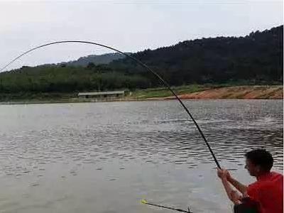 遛鱼技巧,让你告别脱钩,让你成为钓鱼强者!