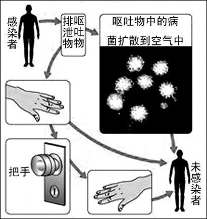 感染人口英文_预防人口密集感染