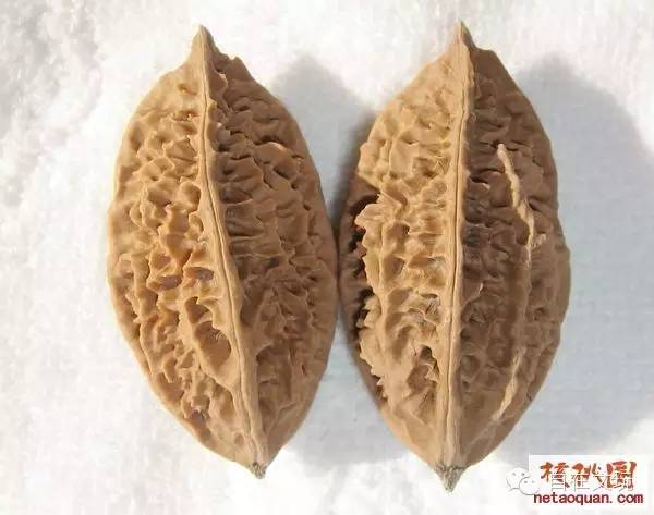32种文玩秋子核桃图鉴