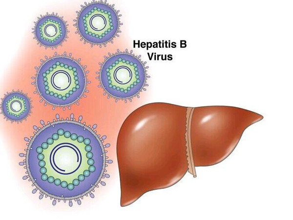 身在乙肝大国的我们怎样判断得了肝炎?