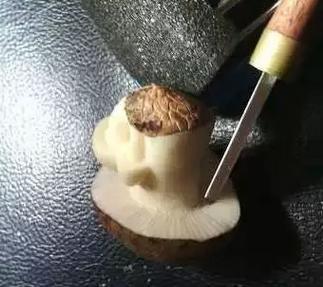 其实象牙果,很早就被人们利用的,在没有塑料的年代,我们用它做扣子.