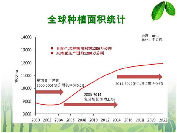 高屋建瓴,直指要害:一文说透天然橡胶产业链全貌