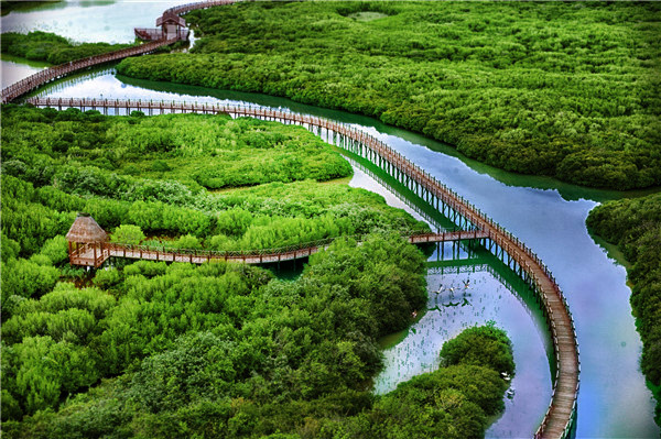 海南红树湾湿地公园,在天然氧吧赏火烈鸟