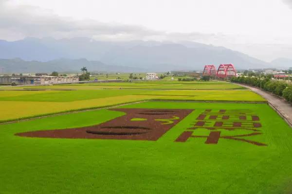 马云在台湾承包了一亩田?