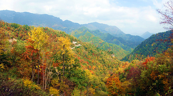 深秋时节的秦岭山中处处皆美景如画,行驶在留坝探秘太子岭的路上,令人