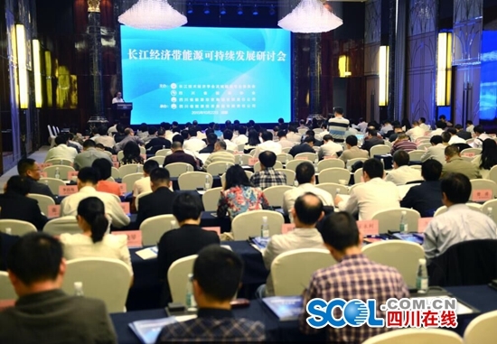 长江经济带能源可持续发展研讨会在成都举行