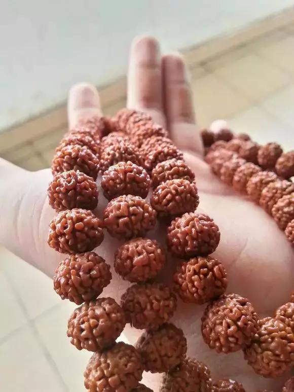 原来小金刚是可以这样的