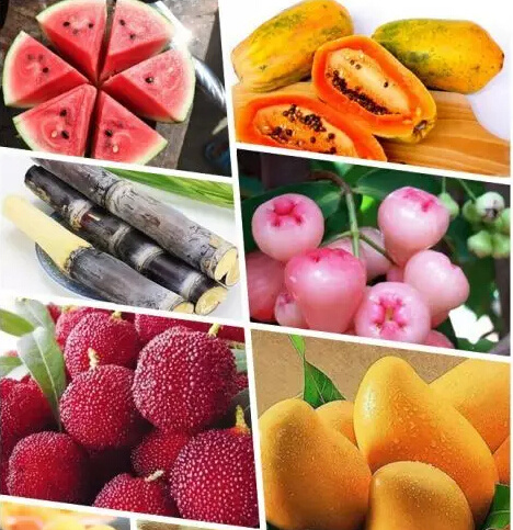 【福建特产】漳州都有哪些水果特产