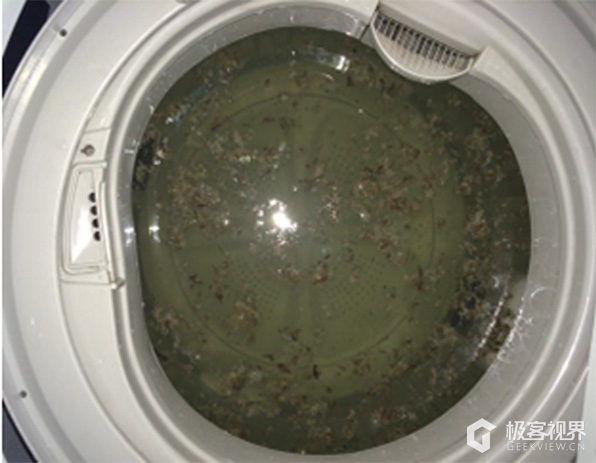 能慎点:你永远不会知道你家的洗衣机有多脏!