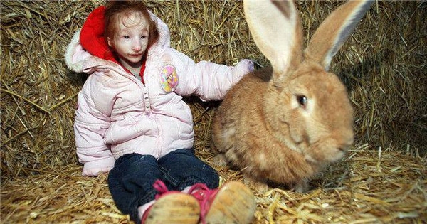 震惊!这个世界上真的有比兔子还小的女孩儿!